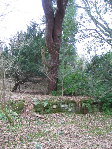 Roslin 087