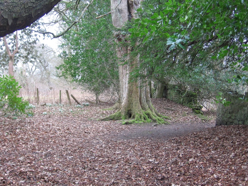 Roslin 088