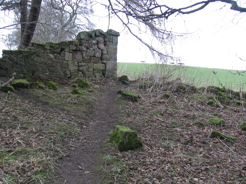 Roslin 091