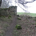 Roslin 091