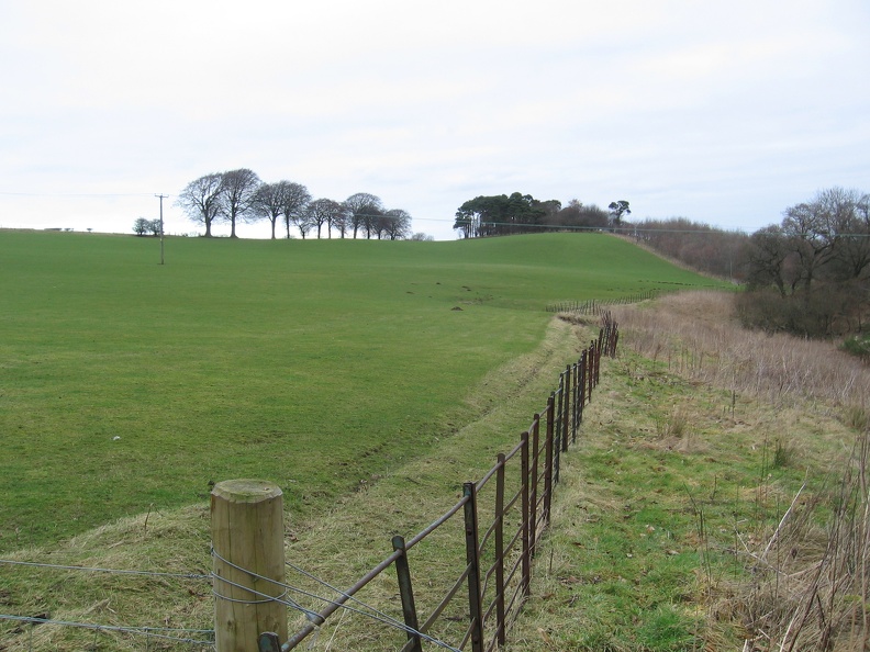 Roslin 092