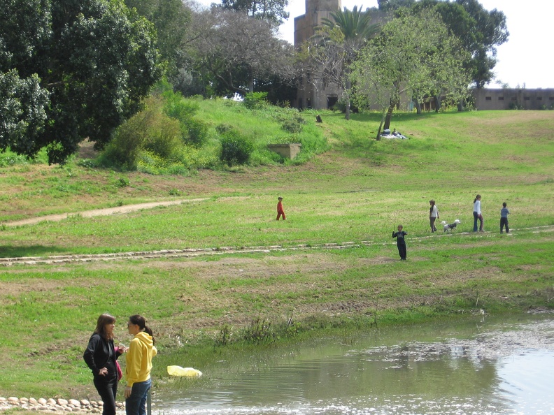 Tel Afek 006