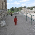 Tel Afek 016