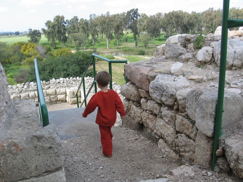 Tel Afek 017