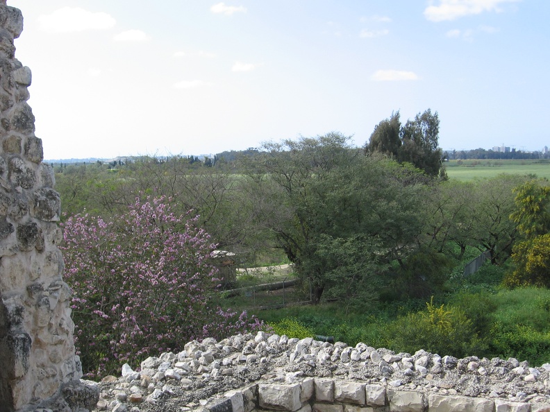Tel Afek 026