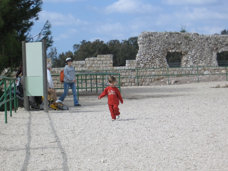 Tel Afek 028