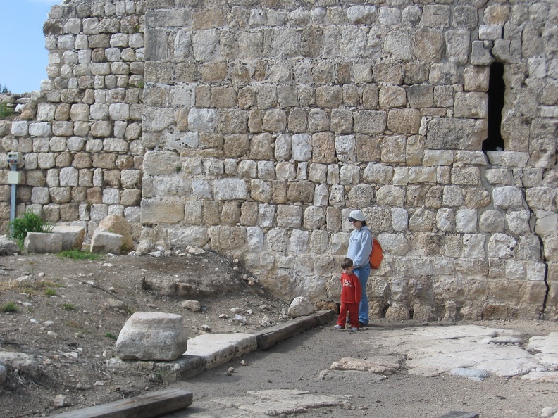 Tel Afek 031