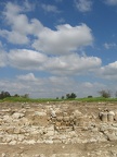Tel Afek 032