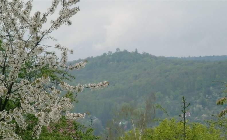 CIMG0304.JPG