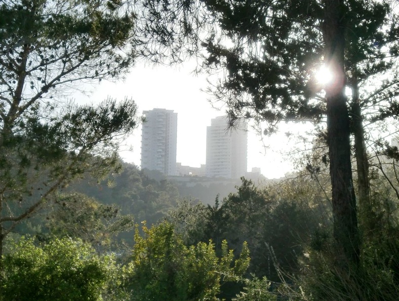 CIMG0556