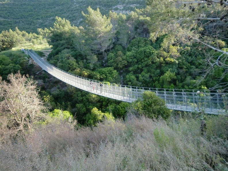 CIMG0557