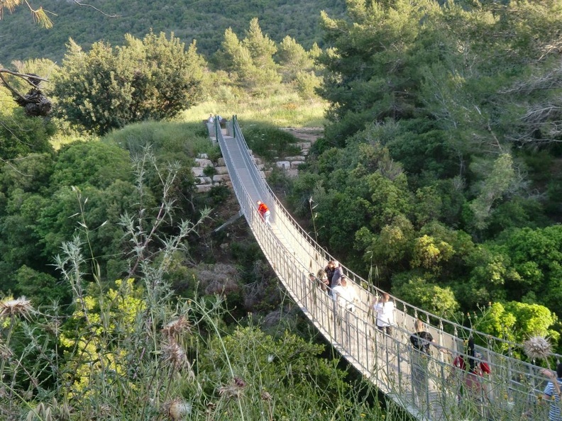 CIMG0559