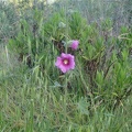 CIMG0571