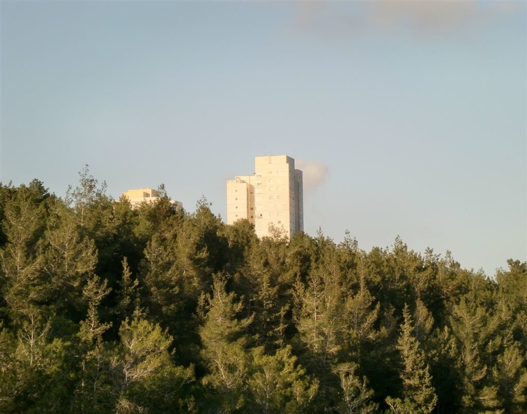 CIMG0580