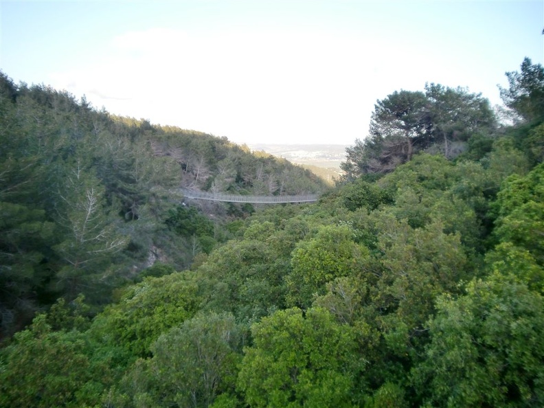 CIMG0594