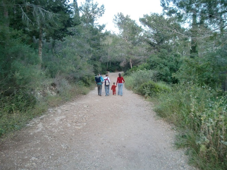 CIMG0610