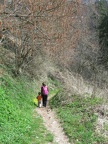 IMG_1367