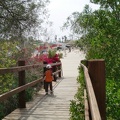 CIMG0764