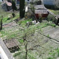IMG_1516.JPG