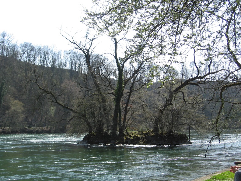 IMG_1540.JPG