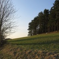 IMG_1572.JPG
