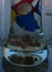 Fish_fragment2