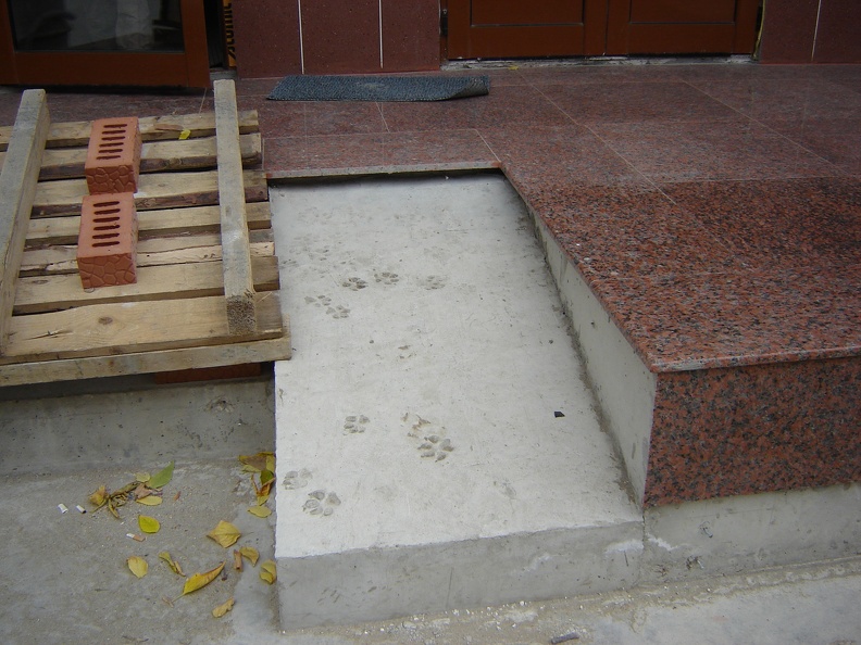 DSC03171