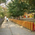 DSC03081