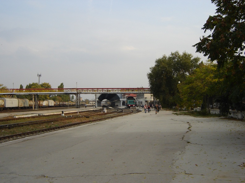 DSC03103