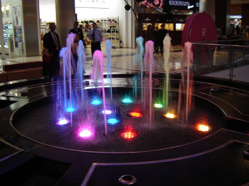 DSC03138