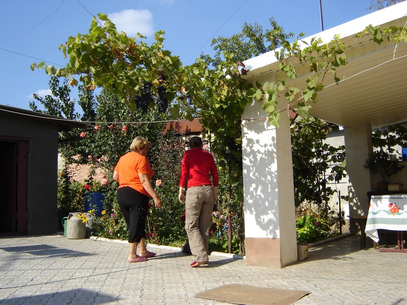 DSC02948.JPG