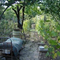 DSC02953.JPG