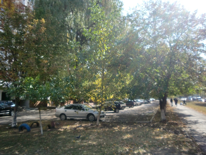 CIMG1650.JPG