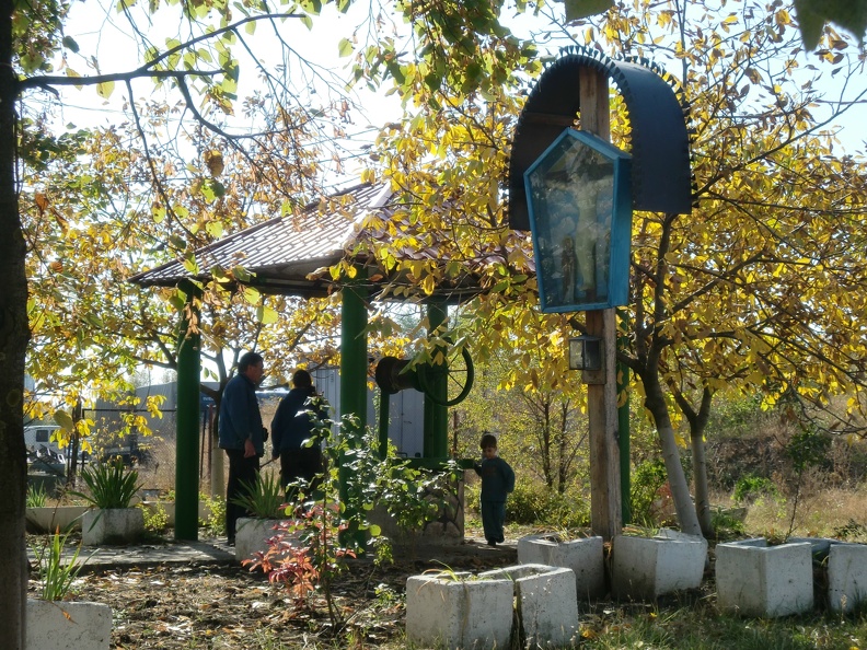 CIMG1656.JPG