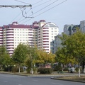 DSC02675.JPG