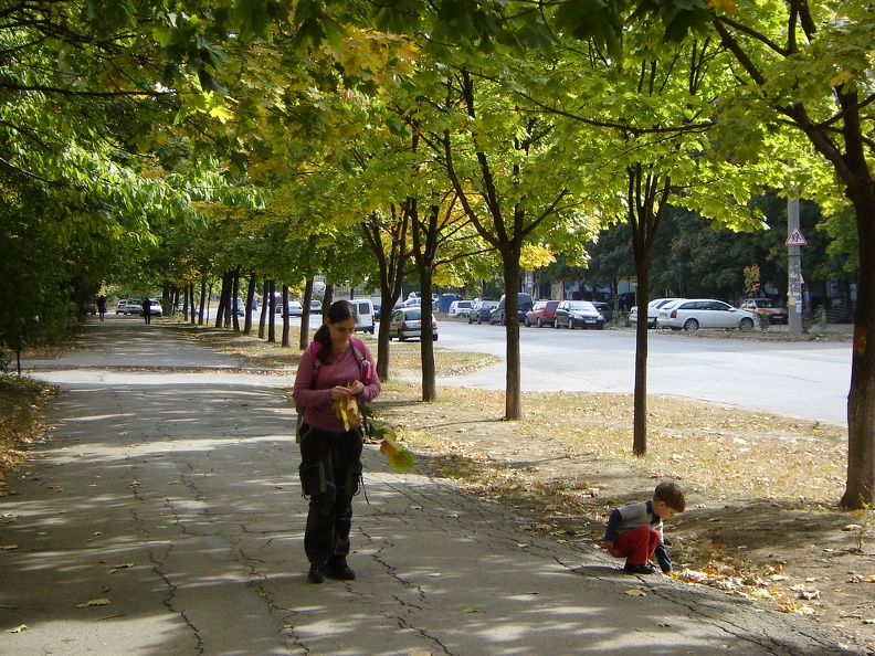 DSC02679.JPG