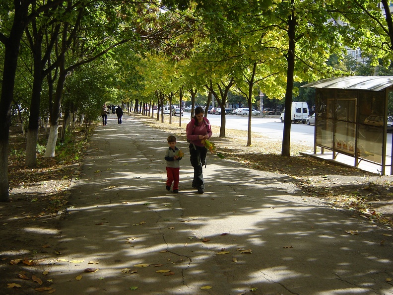 DSC02681.JPG