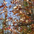 DSC02691.JPG