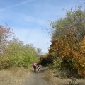 DSC02693.JPG