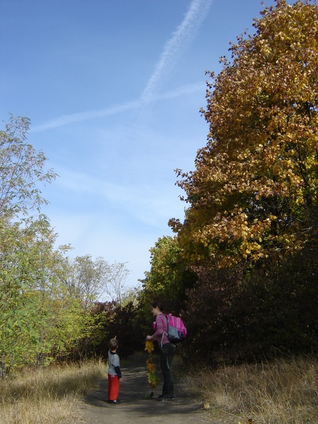 DSC02695.JPG
