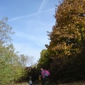 DSC02695.JPG