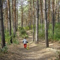DSC02701.JPG