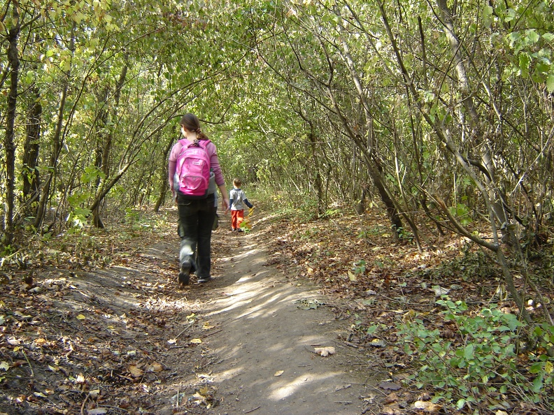DSC02704.JPG
