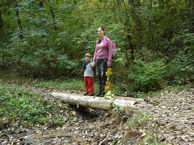 DSC02707.JPG