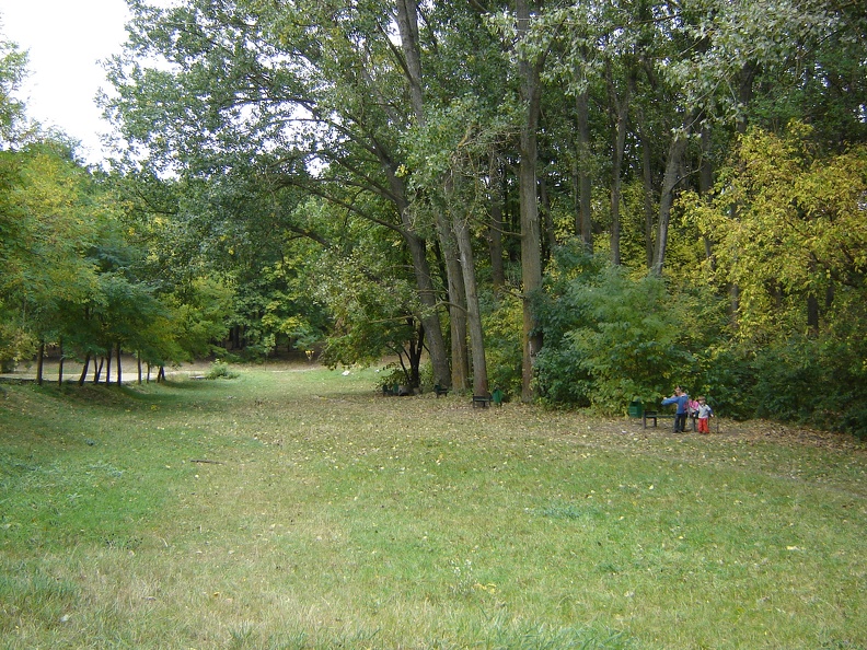 DSC02723.JPG