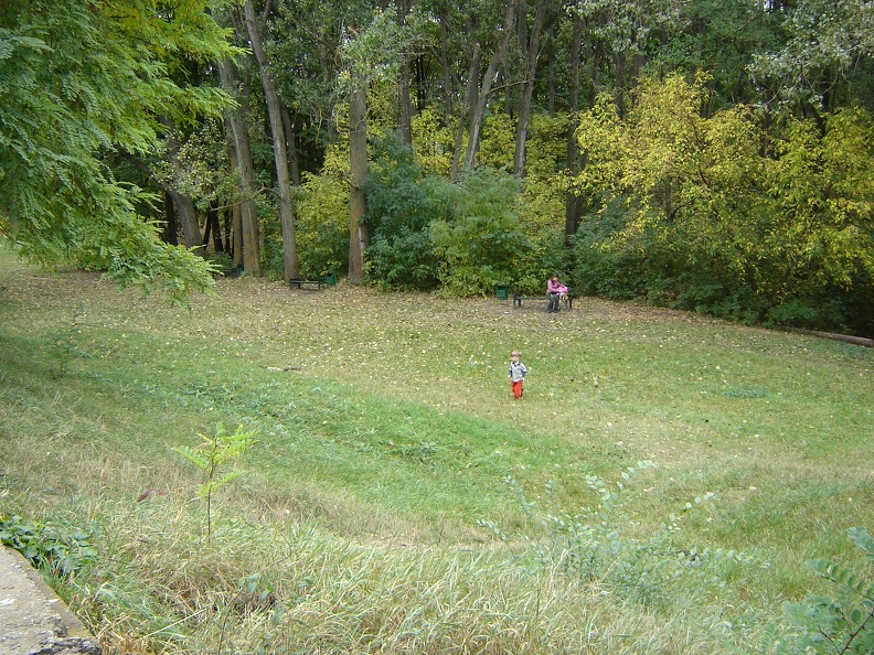 DSC02725.JPG