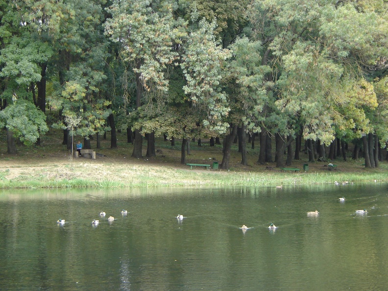 DSC02730.JPG