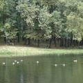 DSC02730.JPG