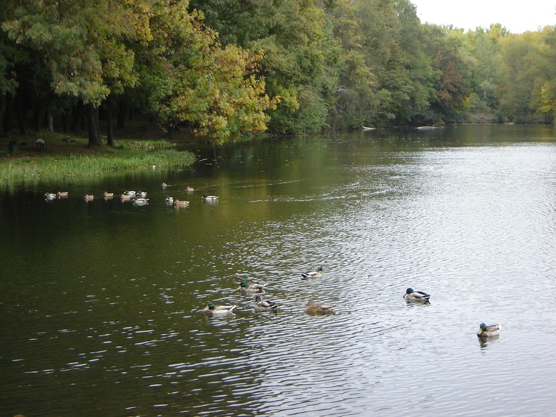 DSC02731.JPG
