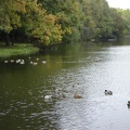 DSC02731.JPG
